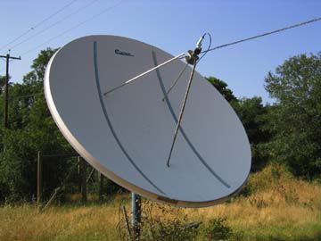 dish.jpg